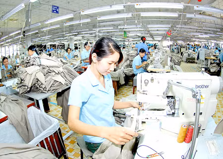 Việt Nam đứng đầu về tuân thủ tiền lương tối thiểu ngành dệt may ảnh 1