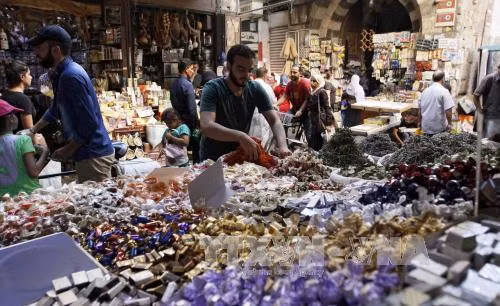 Iran kêu gọi thiết lập cơ chế giám sát ngừng bắn tại Syria ảnh 1