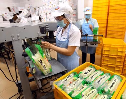 Sớm trình phương án cổ phần hóa Vinafood2 ảnh 1