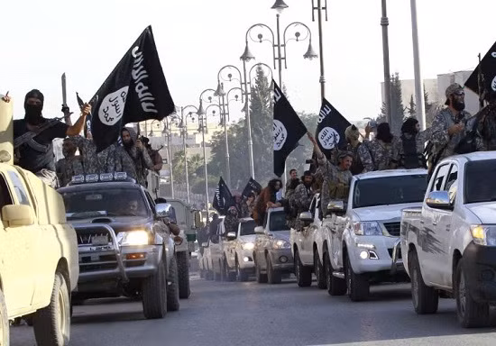 IS bắn hạ máy bay chiến đấu của Syria ảnh 1