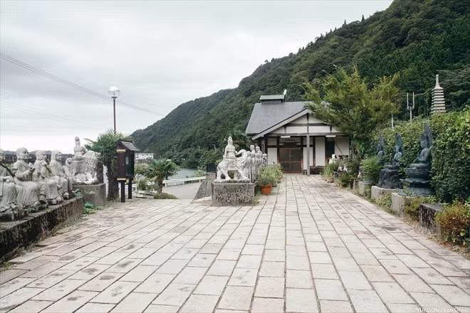 "Rừng tượng ma" rùng rợn ở Nhật Bản ảnh 2