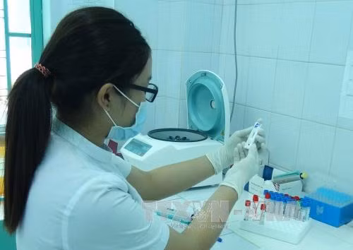 Bệnh nhân nhiễm Zika ở Nhật Bản không phải người Việt ảnh 1