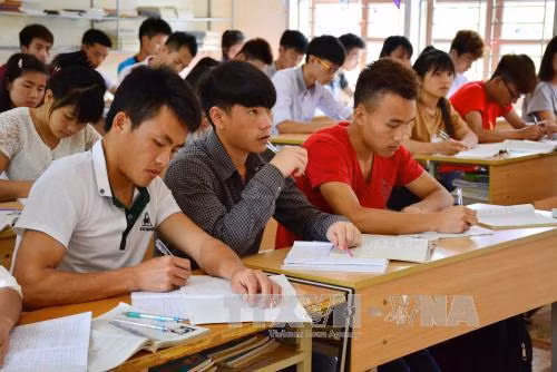 Nhiều ý kiến khác nhau về thi trắc nghiệm môn Toán ảnh 1