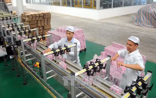 Thoái vốn DNNN cần giữ vững giá trị thương hiệu Việt ảnh 1