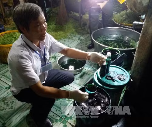 Phát hiện cơ sở ngâm rau muống vào hóa chất ảnh 2