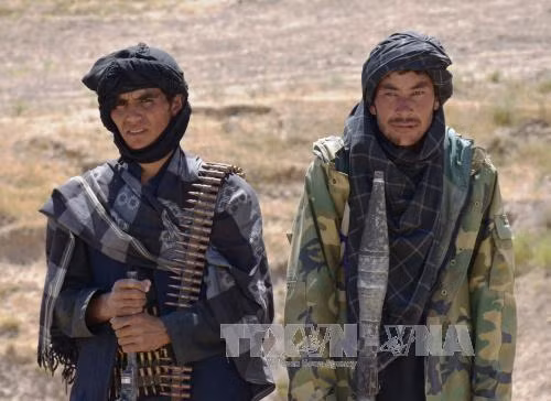 Taliban âm mưu tấn công hội nghị NATO ảnh 1