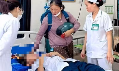Quảng Trị: Hàng chục học sinh nhập viện do bị ong đốt