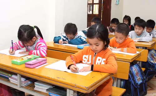 Diễn đàn “Không cho điểm đối với học sinh lớp 1” ảnh 1