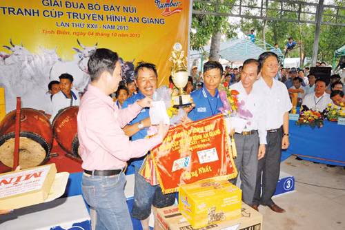 Đua bò Bảy Núi ảnh 5