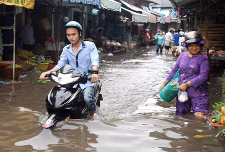 Triều cường cộng mưa, nhiều tuyến đường chìm sâu trong nước ảnh 4