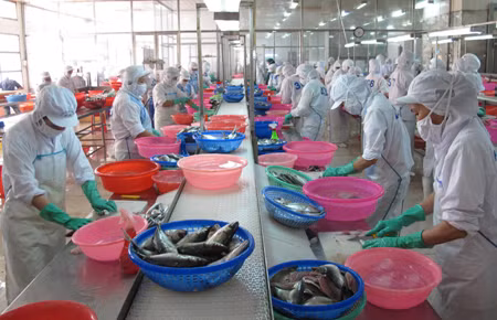 ADB dự báo năm 2012 Việt Nam tăng trưởng 5,1% ảnh 1