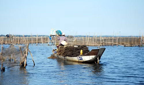Trên phá Tam Giang ảnh 8