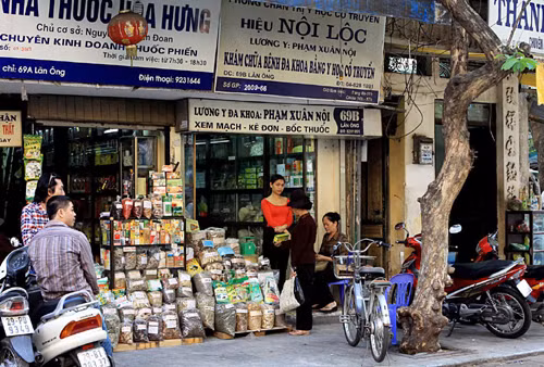 Khôi phục không gian kiến trúc phố nghề dược Lãn Ông ảnh 2
