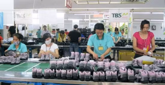 Hỗ trợ doanh nghiệp xuất khẩu Bình Dương hoạt động trở lại ảnh 1