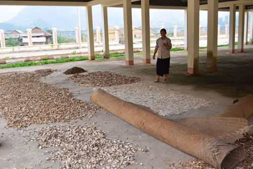 Phát huy hiệu quả chợ vùng cao ảnh 2