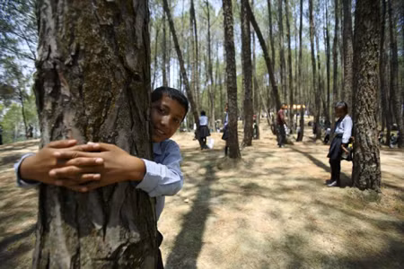 Ôm cây... bảo vệ môi trường tại Nepal ảnh 1