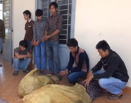 Mật phục bắt băng trộm cáp thông tin ảnh 1