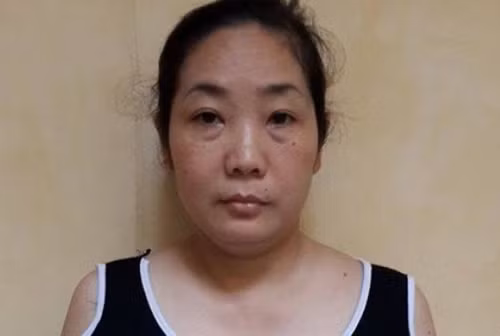 Bắt giam kẻ lừa đảo chạy việc ảnh 1