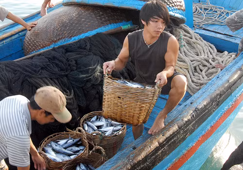 Ngư dân Nha Trang lập “đội bảo vệ chủ quyền” ảnh 1
