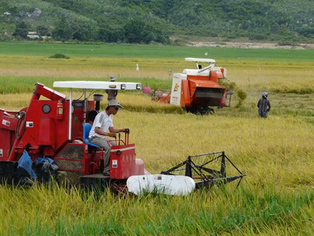 Hỗ trợ lãi suất nhằm giảm tổn thất trong nông nghiệp ảnh 1