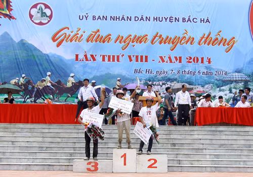 Sức hút từ giải đua ngựa truyền thống Bắc Hà ảnh 5