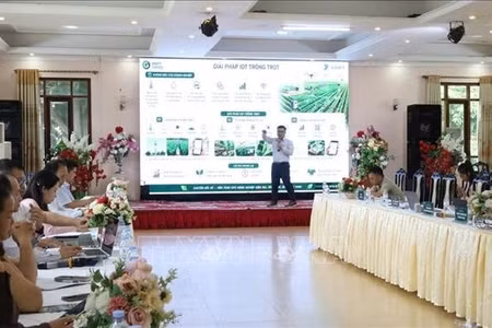 Chuyển đổi số thúc đẩy phát triển nông nghiệp miền núi