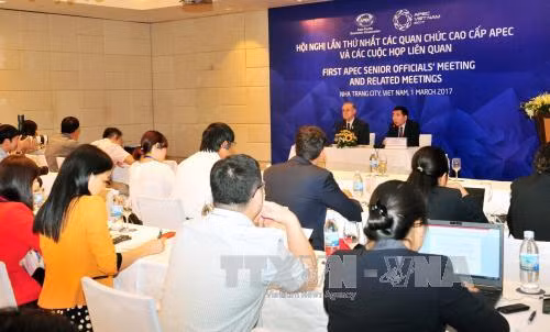APEC 2017: Việt Nam đóng góp thực chất cho các quan tâm chung của khu vực ảnh 1