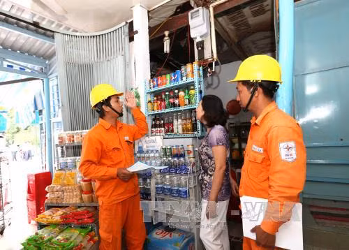 Điện lực miền Nam triển khai nhiều dịch vụ mới ảnh 1