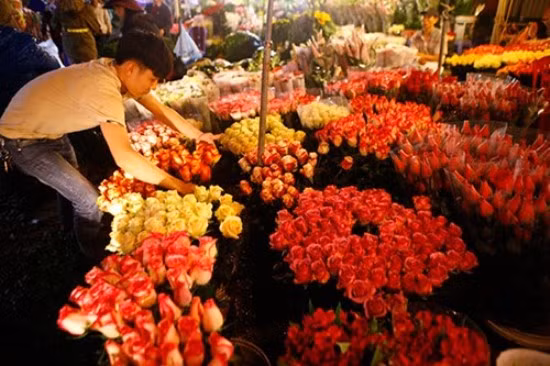 Cận kề ngày 8/3, dạo chợ Quảng An ngắm hoa muôn sắc ảnh 1