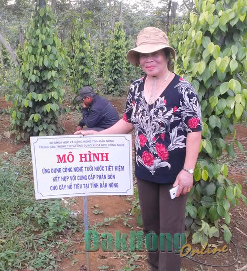 Vươn lên từ đói nghèo, trở thành người nông dân điển hình ảnh 1