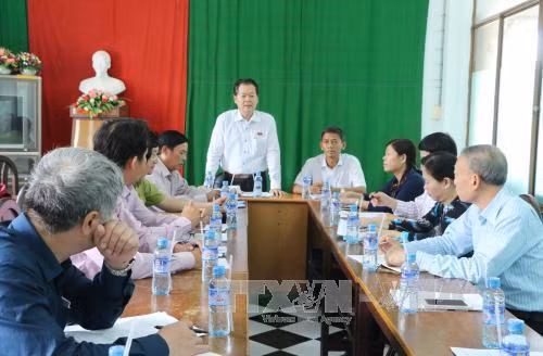 Phát triển rừng tại Sóc Trăng đạt nhiều kết quả tích cực ảnh 1