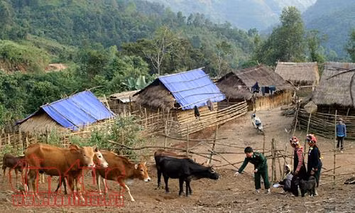 Hình ảnh cảm động về chiến sĩ quân hàm xanh '4 cùng' giúp dân ảnh 4