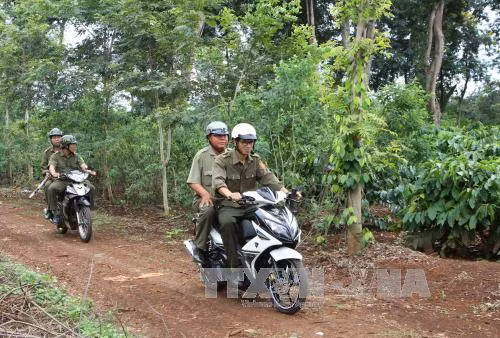 Công an xã có quyền dừng xe, xử phạt giao thông không? ảnh 1
