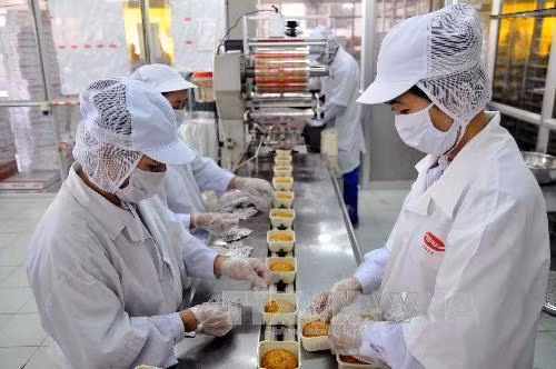 Doanh nghiệp Hàng Việt Nam chất lượng cao tăng nội lực, tích cực hội nhập ảnh 1