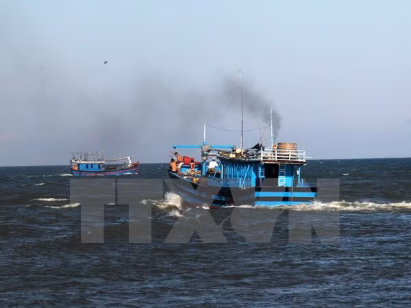 Hội Nghề cá phản đối Trung Quốc đơn phương cấm đánh bắt cá trên Biển Đông ảnh 1