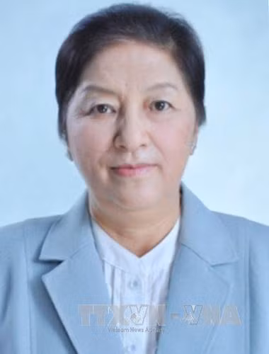 Chủ tịch Quốc hội Lào thăm Việt Nam kỷ niệm 55 năm ngày thiết lập quan hệ hai nước ảnh 1