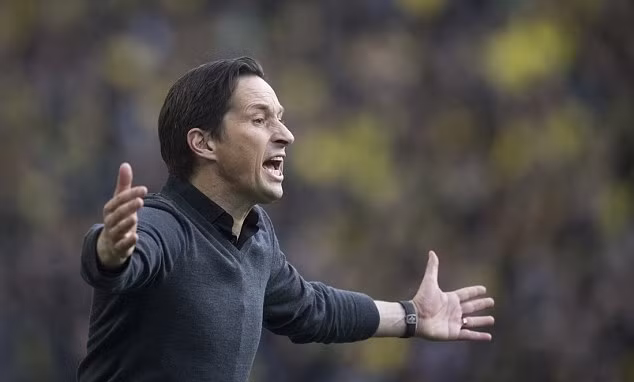 Leverkusen sa thải HLV Roger Schmidt khi không còn cơ hội tốp trên ảnh 2