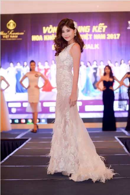 Võ Hoàng Yến, Ngọc Tình rạng rỡ chấm thi Hoa khôi Du lịch Việt Nam 2017 ảnh 8