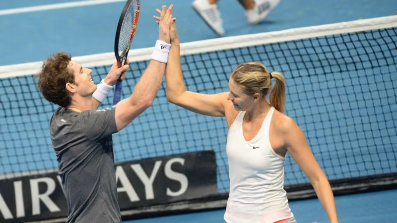 Andy Murray phản đối vé đặc cách cho Maria Sharapova ảnh 1