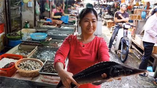 Nhập nhèm cá tầm trong nước và nhập lậu ảnh 1