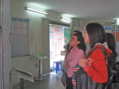 Sinh viên làm thêm hè: Không chỉ để kiếm tiền ảnh 1
