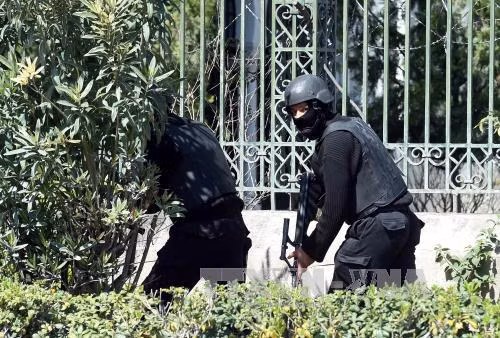 Tunisia xác định danh tính 2 kẻ tấn công bảo tàng Bardo ảnh 1