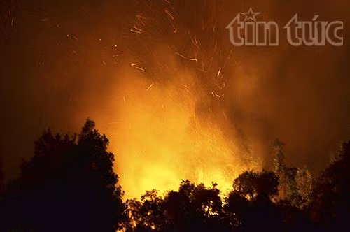 Cháy rừng tái sinh đe dọa hàng chục hộ dân ảnh 1