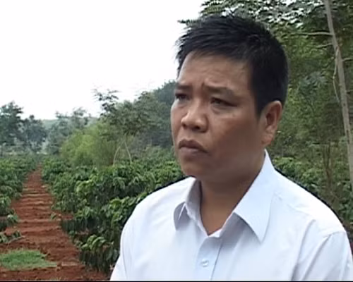 Giải ngân hiệu quả nguồn vốn tái canh 12.000 tỷ đồng ảnh 2