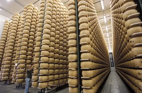 Pho mát Parmesan 'bước chân' vào khủng hoảng ảnh 1