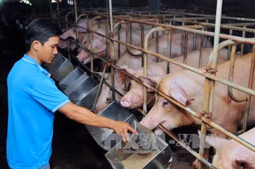 'Đất thép thành đồng' Củ Chi - 40 năm sau Giải phóng ảnh 2
