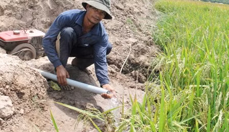 Đồng bằng sông Cửu Long khẩn trương chống hạn, mặn ảnh 1