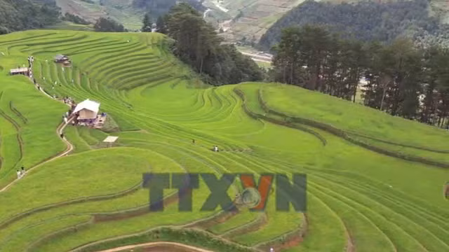 Những cung đường níu chân du khách ở Lào Cai