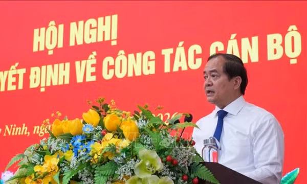 Phê chuẩn kết quả bầu, miễn nhiệm Chủ tịch Hội đồng nhân dân tỉnh Tây Ninh