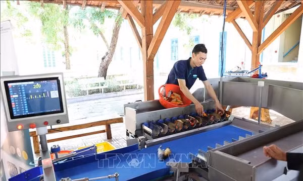 Từ cái nôi đào tạo thủy sản đến trung tâm nguồn nhân lực kinh tế biển